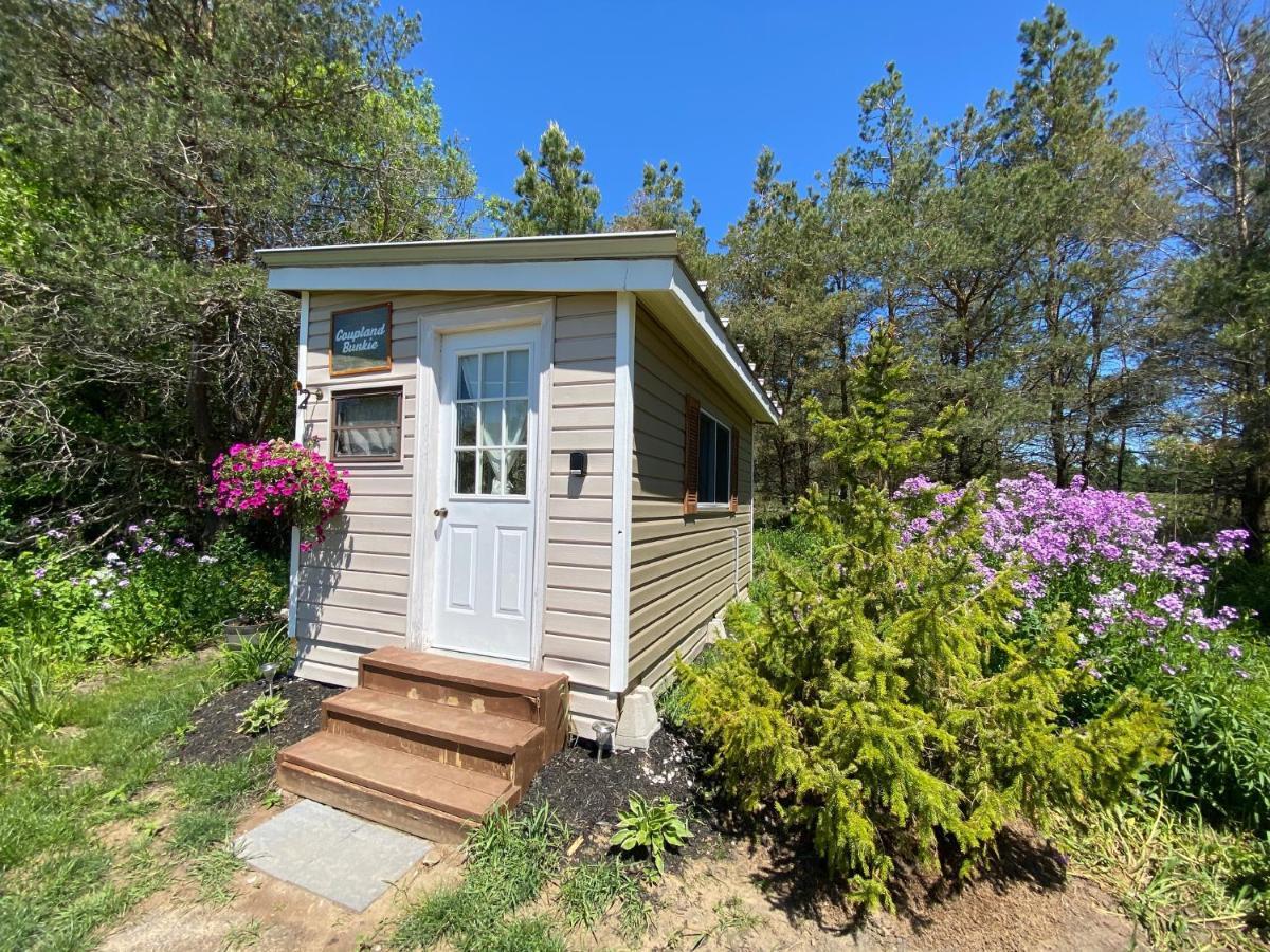 Dreamers Writing Farm, 3 Wooded Acres, Hepworth Sauble Beach Exterior foto