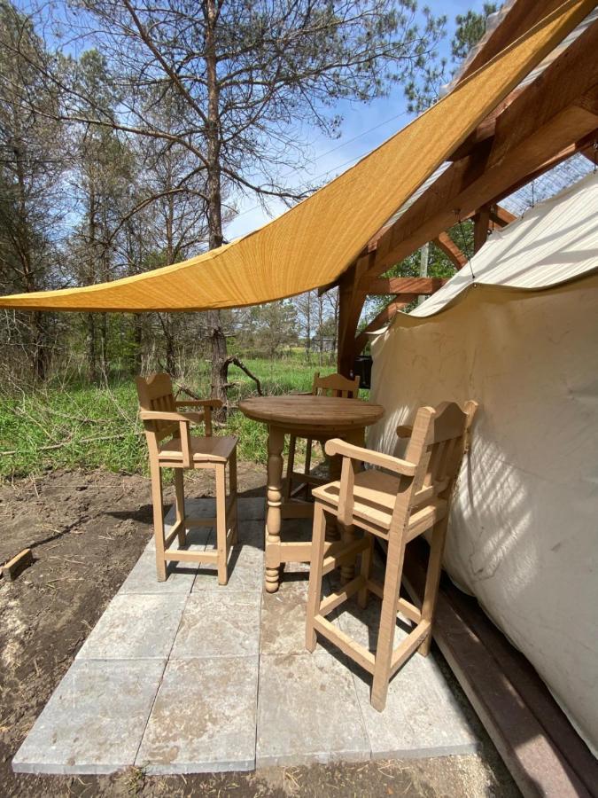 Dreamers Writing Farm, 3 Wooded Acres, Hepworth Sauble Beach Exterior foto