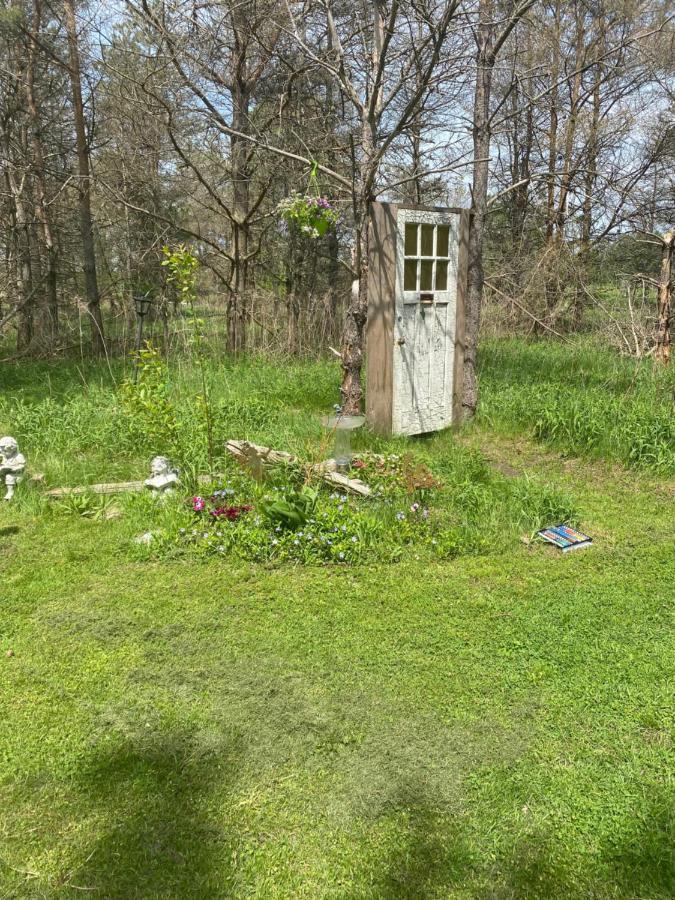 Dreamers Writing Farm, 3 Wooded Acres, Hepworth Sauble Beach Exterior foto