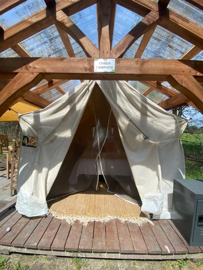 Dreamers Writing Farm, 3 Wooded Acres, Hepworth Sauble Beach Exterior foto