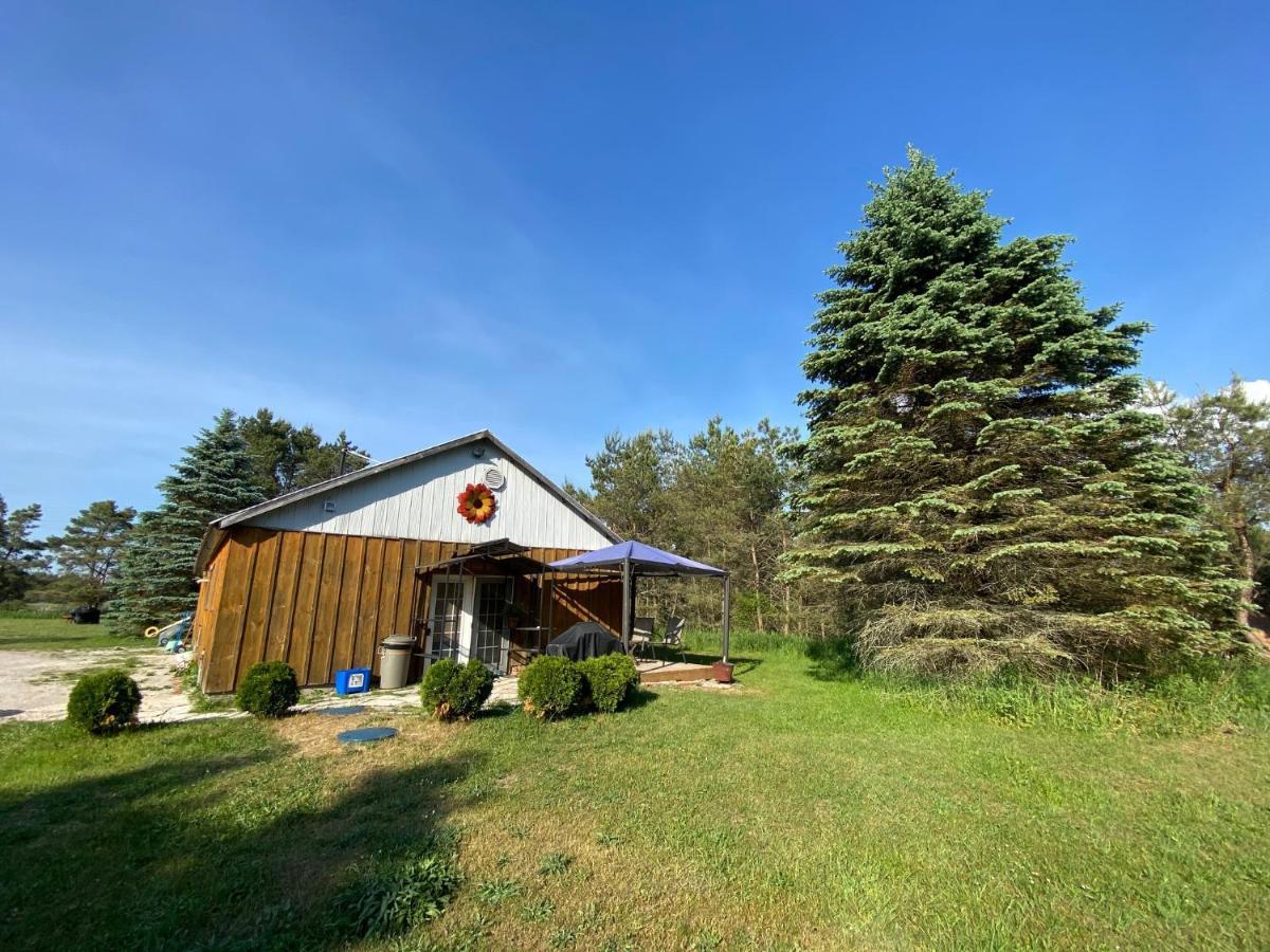 Dreamers Writing Farm, 3 Wooded Acres, Hepworth Sauble Beach Exterior foto